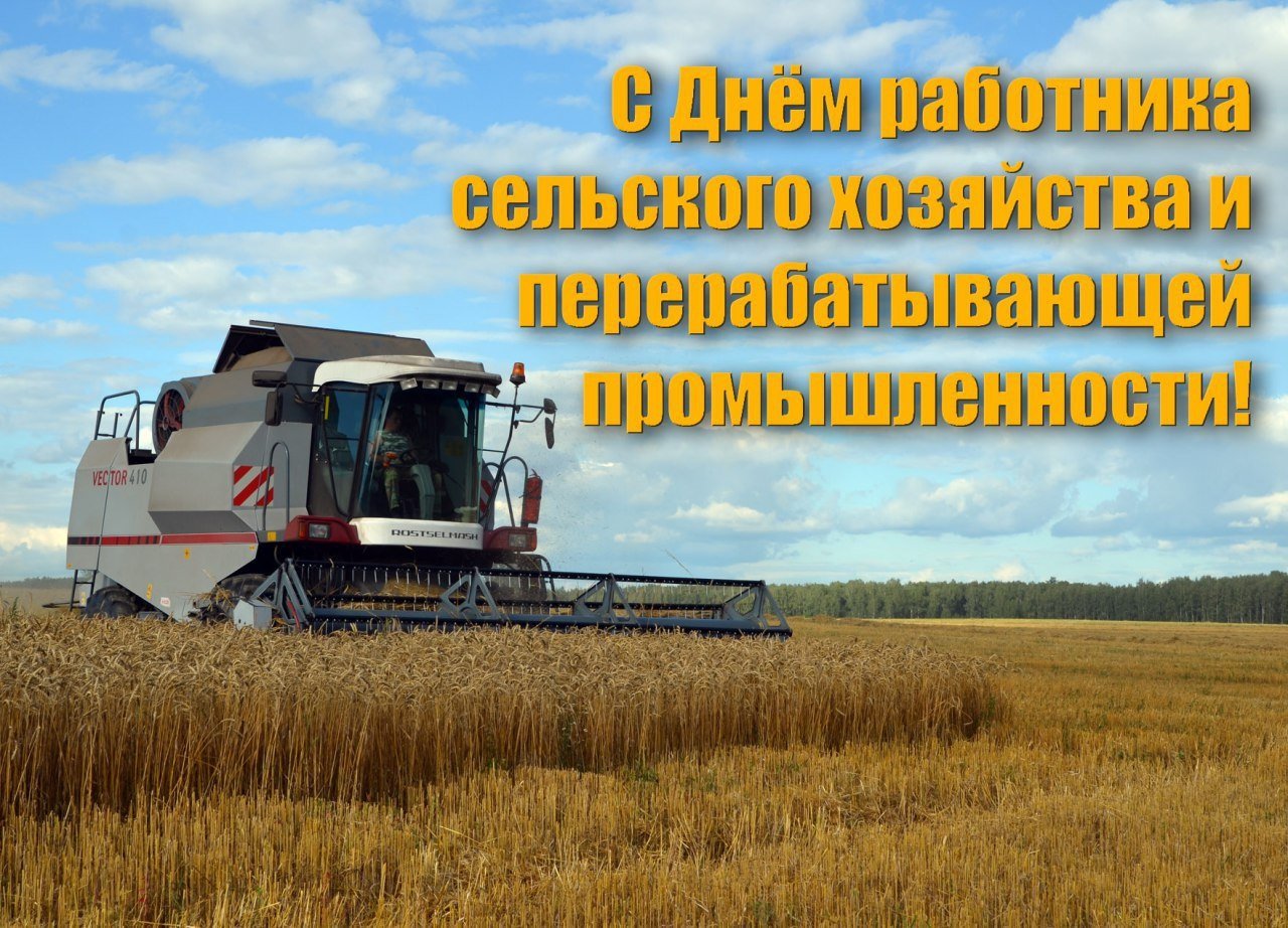Официальное поздравление Губернатора области с Днём работника сельского хозяйства и перерабатывающей промышленности.