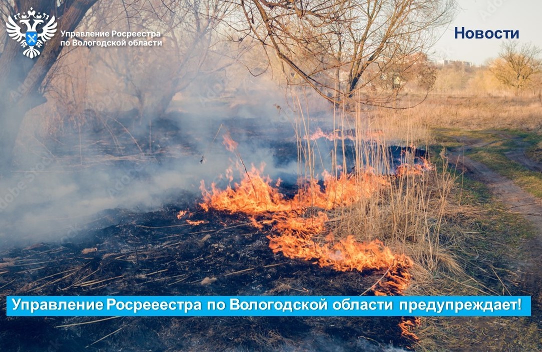 В Вологодском Росреестре напомнили о необходимости соблюдения мер пожарной безопасности на землях сельскохозяйственного назначения.