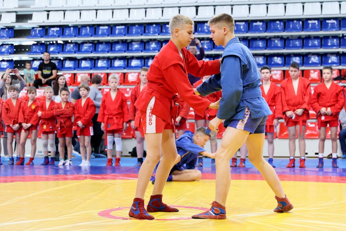 Будущих чемпионов ждут в Вологодском государственном университете и Колледже олимпийского резерва.