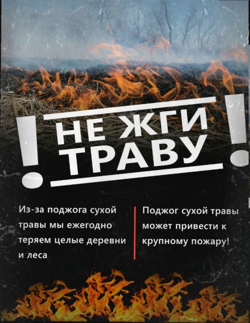 Нет палу травы.