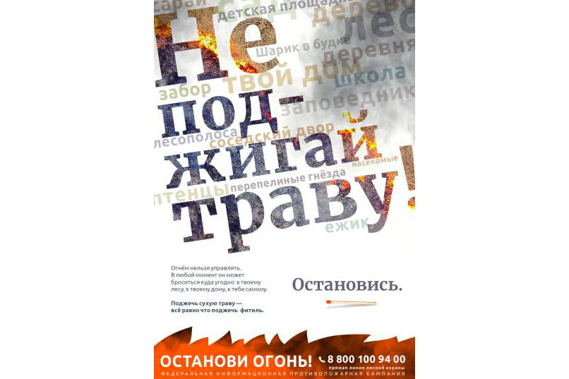 За прошедшую неделю лесных пожаров на Вологодчине  не зарегистрировано.