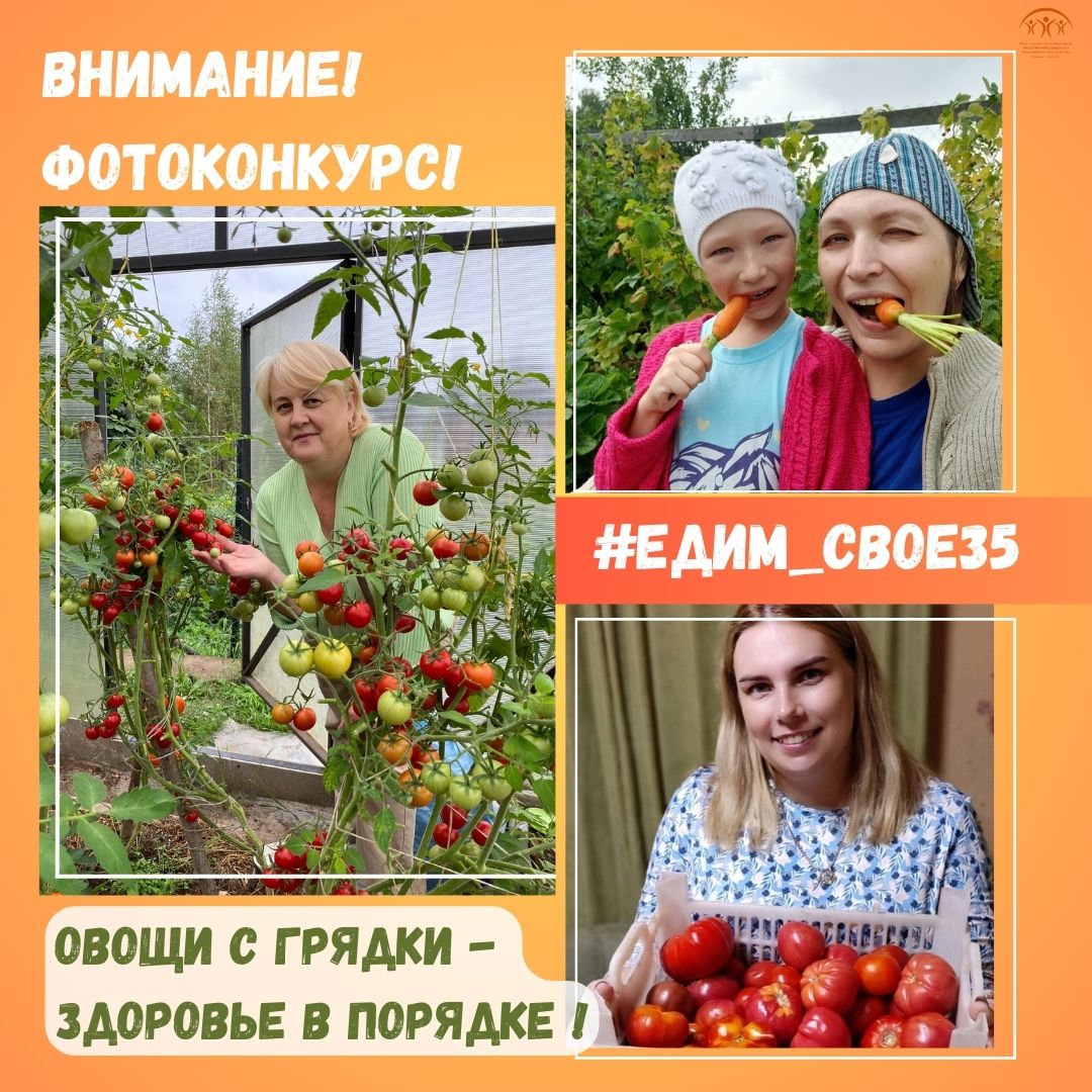 Вологжан приглашают принять участие в областном фотоконкурсе  «Овощи с грядки - здоровье в порядке».