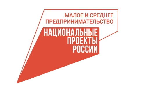 Проект &laquo;Мама-предприниматель&raquo; стартует на Вологодчине.