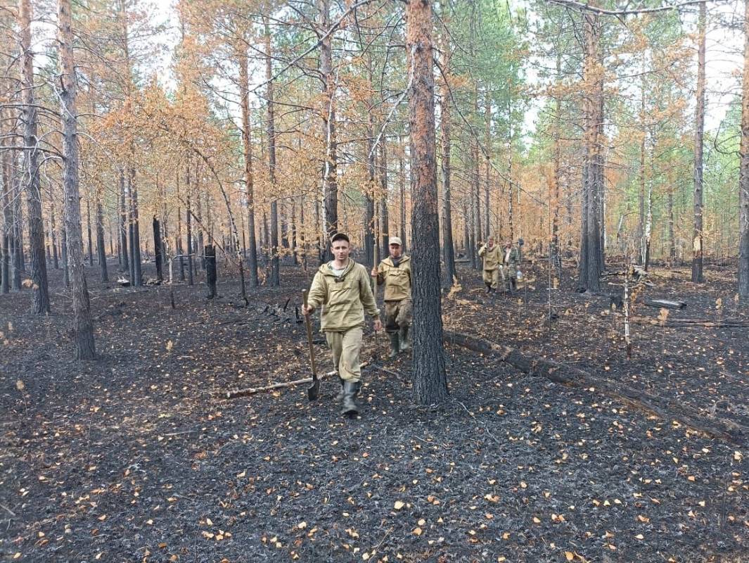 Вологодские специалисты вернулись после ликвидации лесных пожаров в Югре.