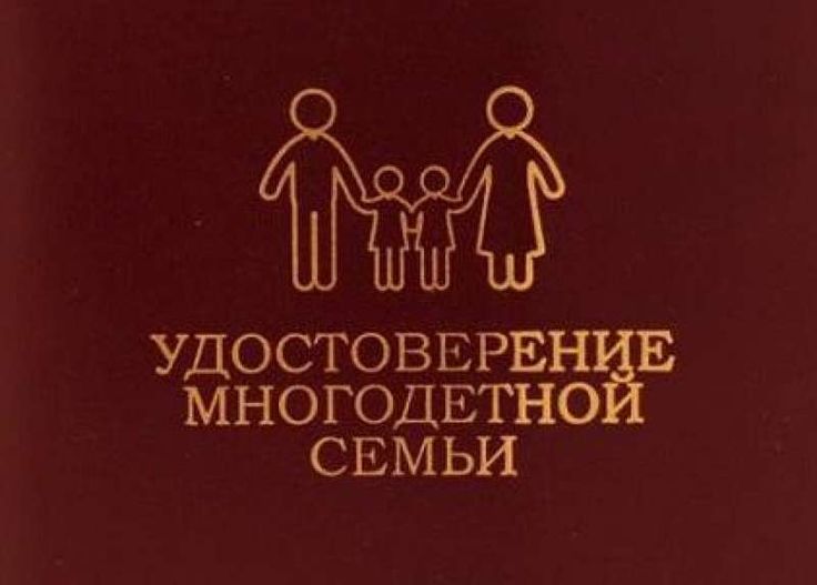 На портале Госуслуг вологжане могут получить электронное удостоверение многодетной семьи.