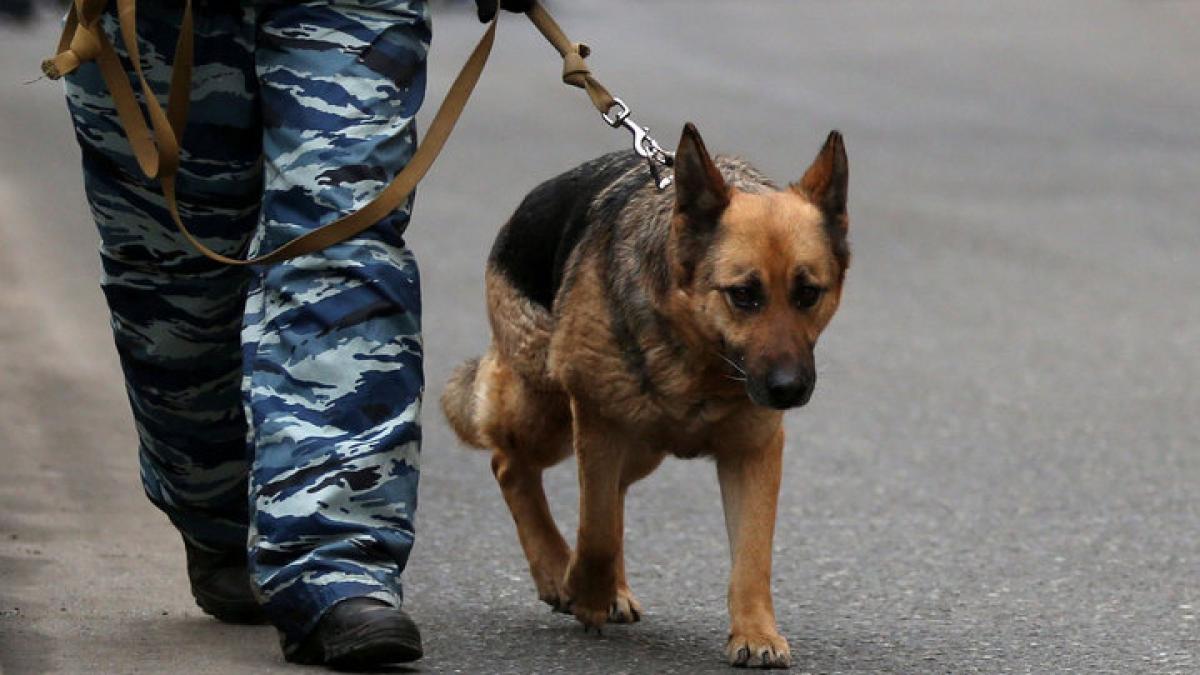 В Вологодской области зафиксирована серия ложных сообщений о минировании.