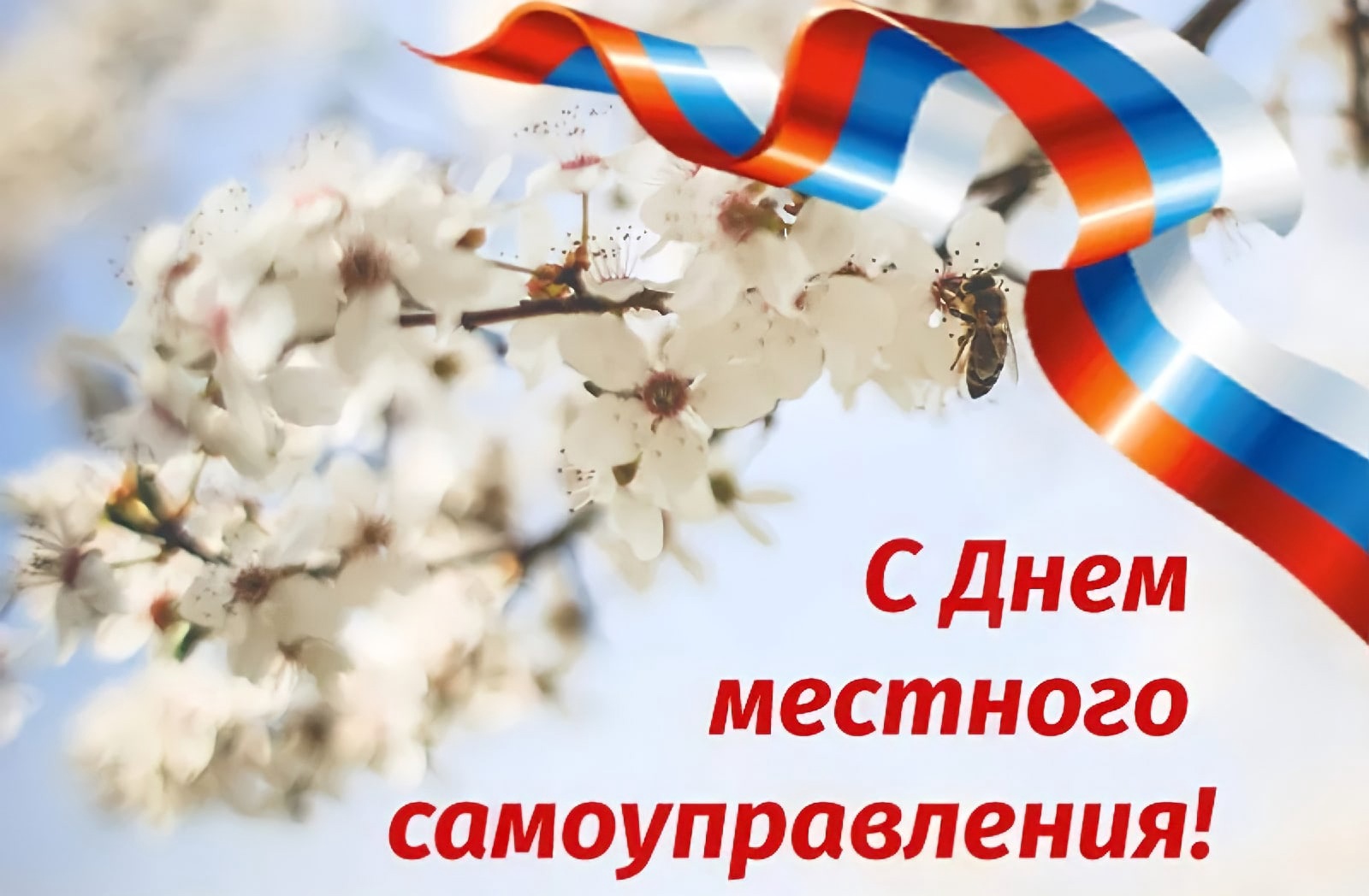 Поздравление Губернатора Вологодской области с Днем местного самоуправления.