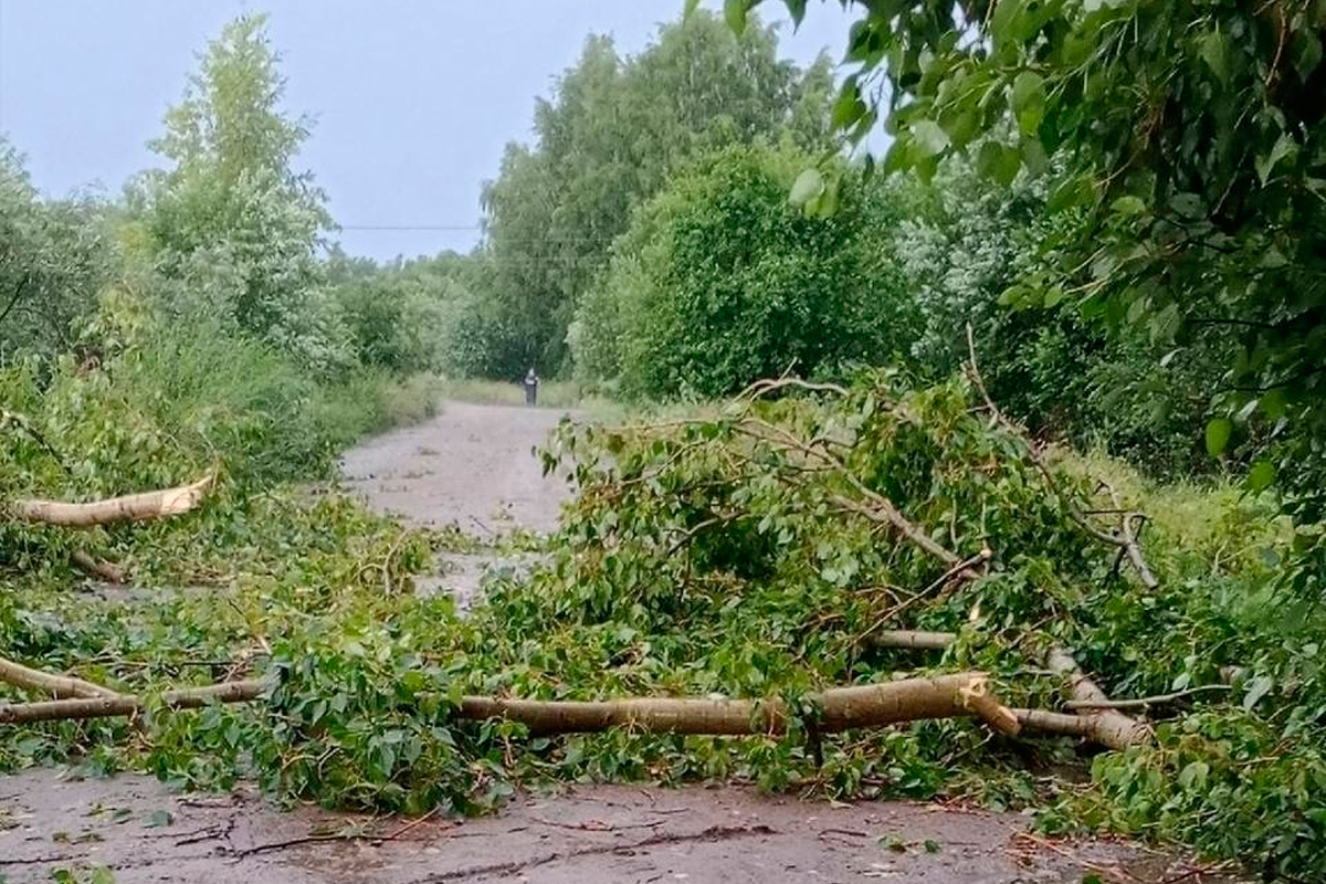 Георгий Филимонов поручил оперативно восстановить электроснабжение после непогоды на Вологодчине.