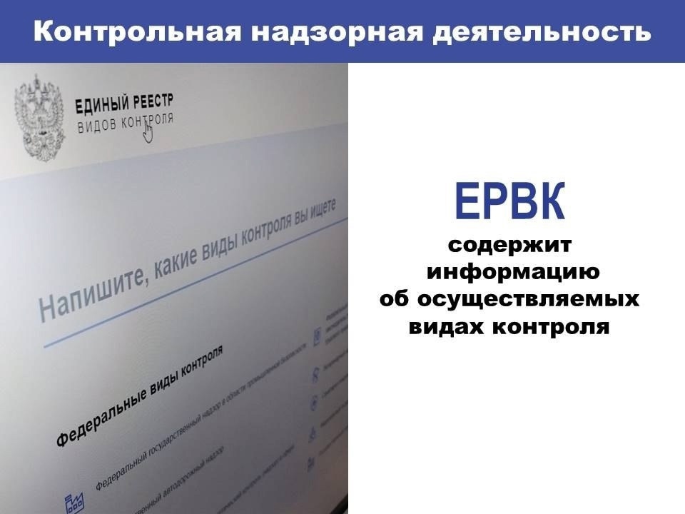 Единый реестр видов контроля (ЕРВК), расположенный по адресу ervk.gov.ru, предоставляет контролируемым субъектам важную информацию.