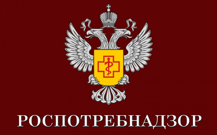 Профилактика гриппа и ОРВИ. Профилактика гриппа и ОРВИ.