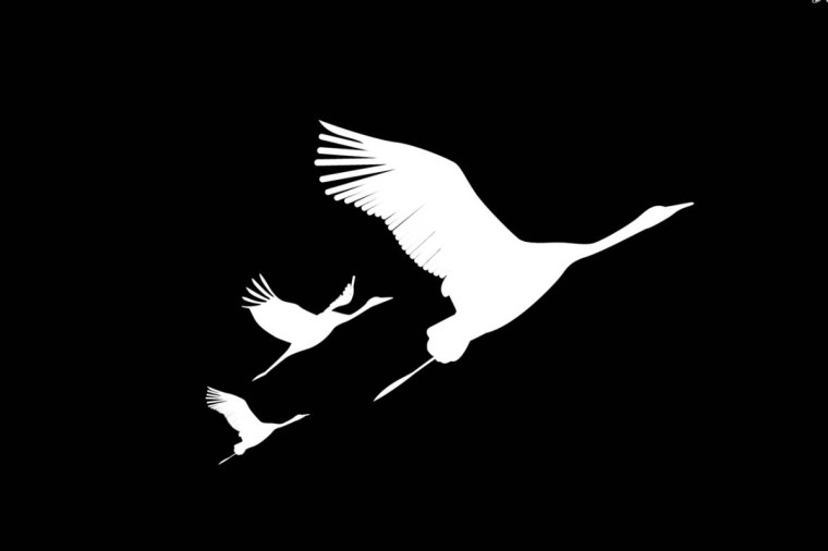 В Вологодской области пройдёт акция «Журавли» в память о жертвах теракта в Подмосковье. В Вологодской области пройдёт акция «Журавли» в память о жертвах теракта в Подмосковье.