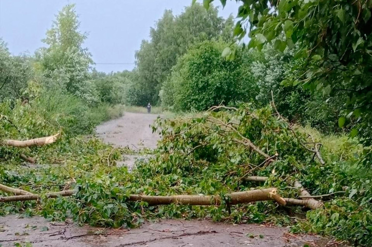 Георгий Филимонов поручил оперативно восстановить электроснабжение после непогоды на Вологодчине. Георгий Филимонов поручил оперативно восстановить электроснабжение после непогоды на Вологодчине.