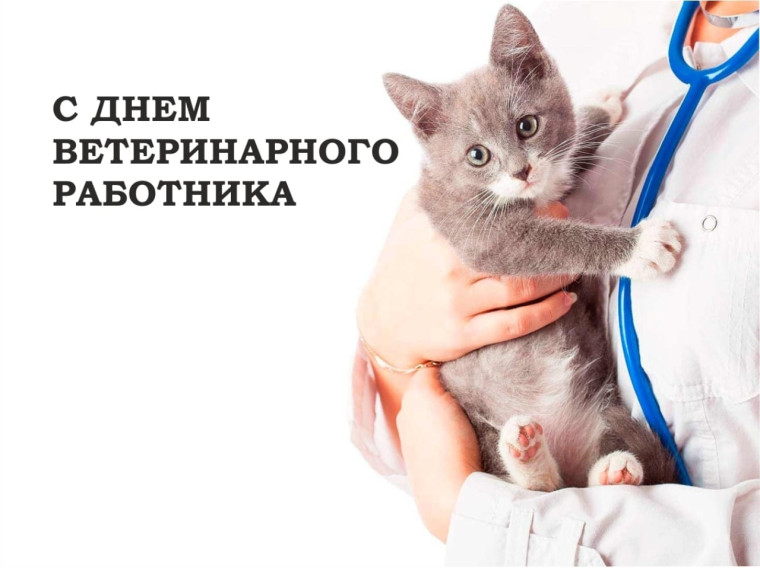 Приветственное слово врио Губернатора Вологодской области Г.Ю. Филимонова по случаю Дня ветеринарного работника. Приветственное слово врио Губернатора Вологодской области Г.Ю. Филимонова по случаю Дня ветеринарного работника.