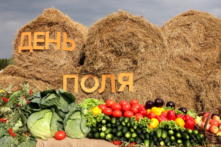 Порядка 4,5 миллиардов рублей выделено на развитие агропромышленного комплекса Вологодской области. Порядка 4,5 миллиардов рублей выделено на развитие агропромышленного комплекса Вологодской области.