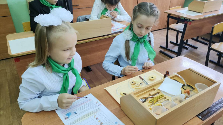 Продолжается прием школьников в агро- и лесные классы. Продолжается прием школьников в агро- и лесные классы.