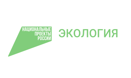Растет количество общественных лесных инспекторов Вологодчины. Растет количество общественных лесных инспекторов Вологодчины.