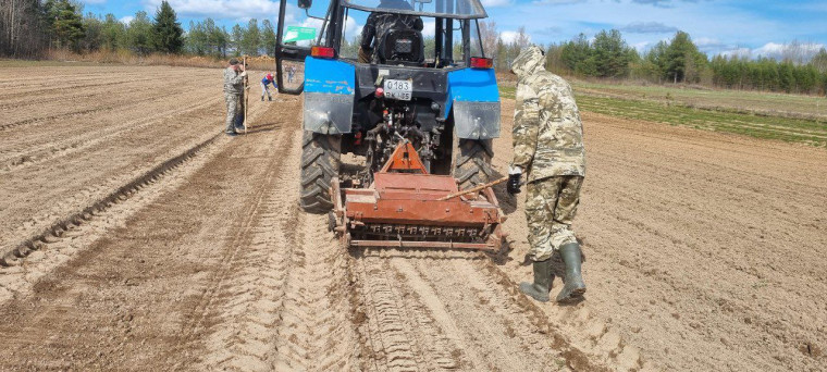 Лесхозы Вологодской области перевыполнили план по посеву семян хвойных пород. Лесхозы Вологодской области перевыполнили план по посеву семян хвойных пород.