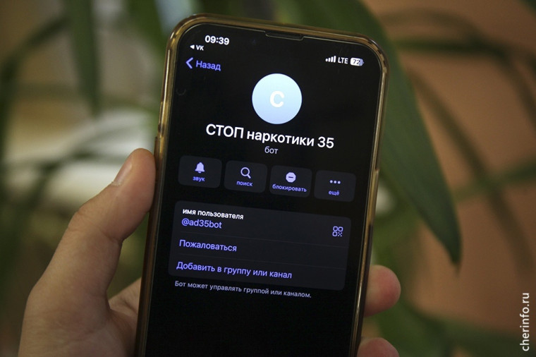 Порядка тысячи сообщений от вологжан поступило в чат-бот «СТОПнаркотики35». Порядка тысячи сообщений от вологжан поступило в чат-бот «СТОПнаркотики35».